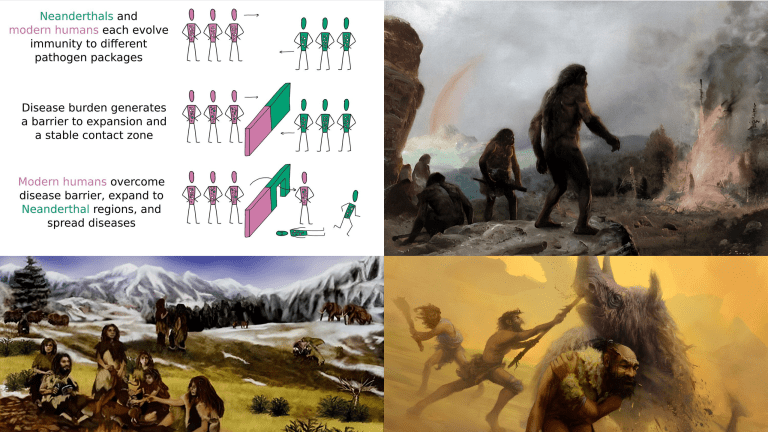 why Neanderthals went extinct, neanderthal extinction cause, why neanderthals became extinct