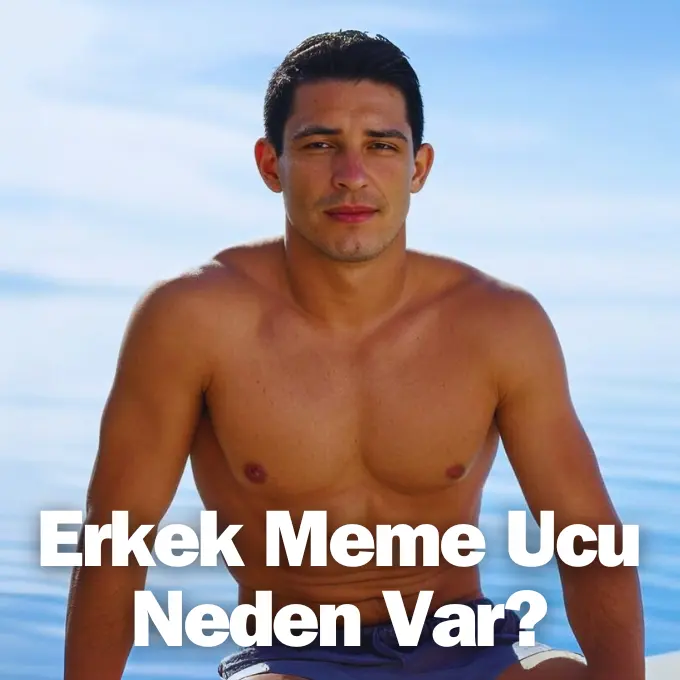 erkek meme ucu, erkek meme ucu neden var