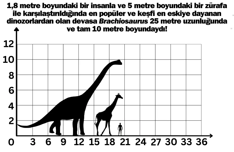 Brachiosaurus boyutu, Dinozor ve insan karşılaştırması, Brachiosaurus zürafa insan, Uzunluk karşılaştırması, Brachiosaurus gerçek boyutu, jurassic park ne kadar gerçekçiydi