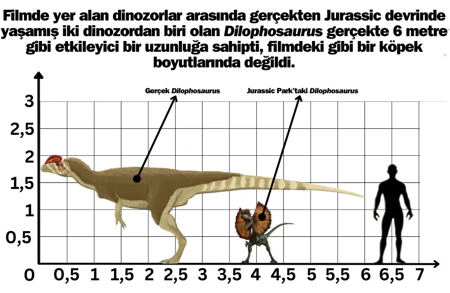 Dilophosaurus boyutu, Dinozor ve insan karşılaştırması, Dilophosaurus insan yan yana, Jurassic Park Dilophosaurus karşılaştırması, Dilophosaurus gerçek boyutu, jurassic park ne kadar gerçekçiydi