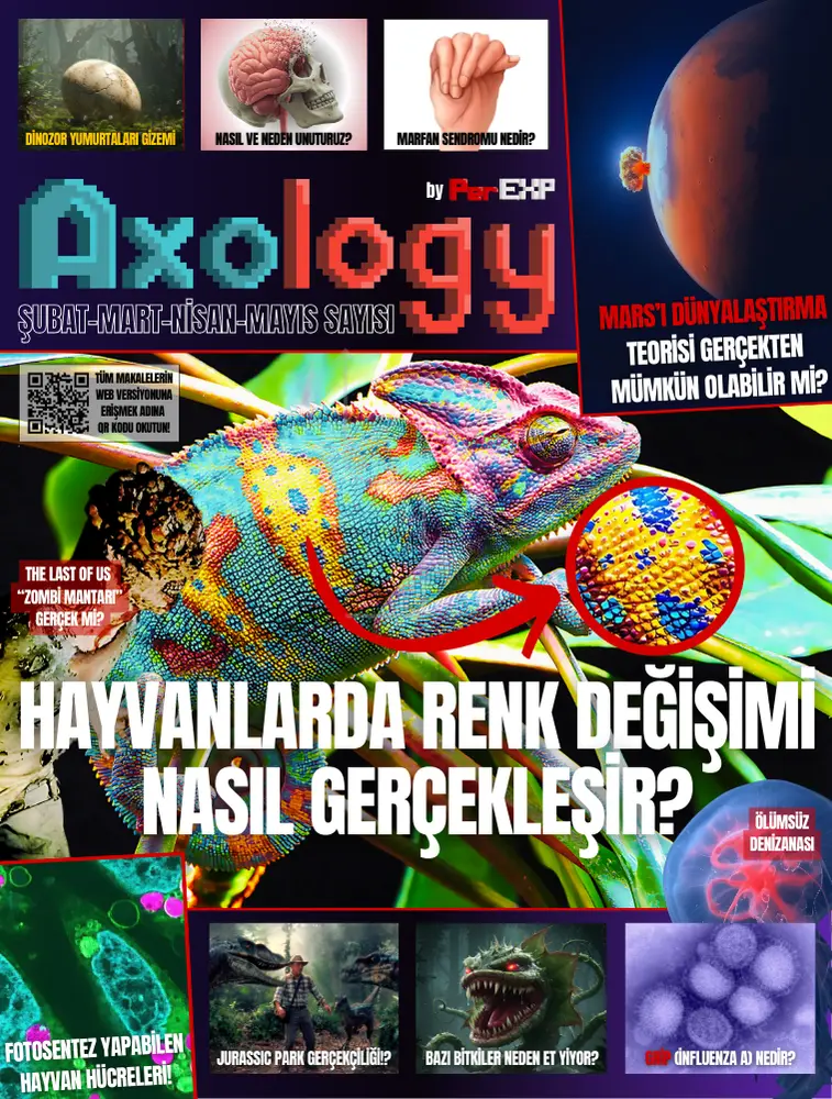 axology dergi birinci sayı, axology birinci sayı, axology dergi ilk sayı, axology ilk sayı