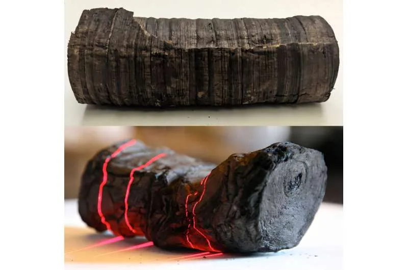 Contemporary model scroll compared with ancient charred scrolls from the Herculaneum library.