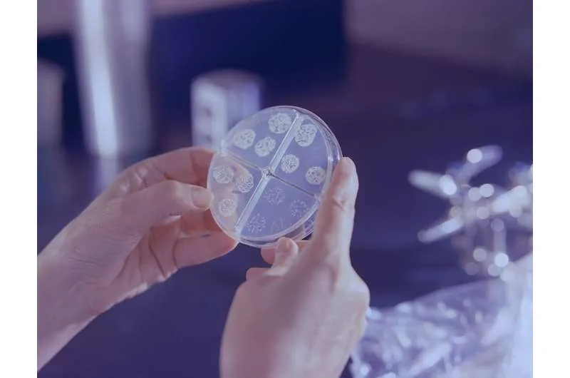 Laboratory analysis investigating cancer causing infections and cellular damage