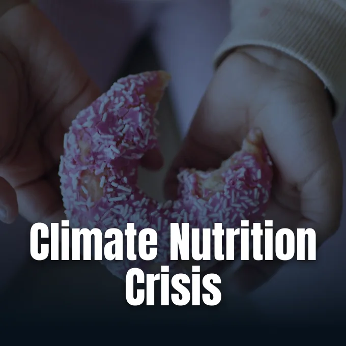Research chart documenting how climate change nutrition risks impact child development in Brazil.