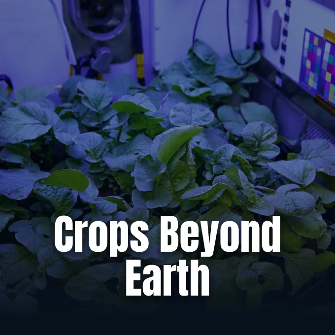 NASA plant growth research at Kennedy Space Center supporting crop health monitoring for future deep space exploration.