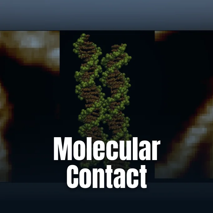 DNA molecules accompanying research into DNA pairing between double helices.