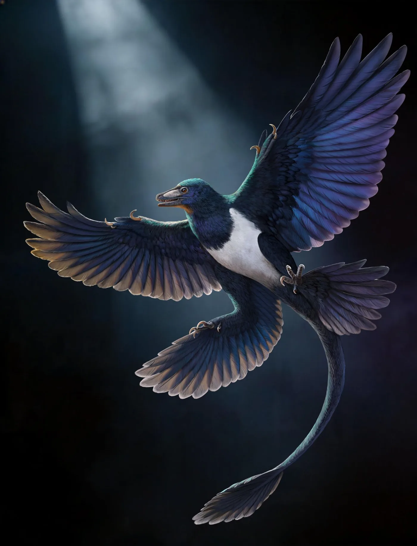 An artist reconstruction of the feathered winged dinosaur Norellraptor barsboldi displaying plumage on forelimbs and hindlimbs.