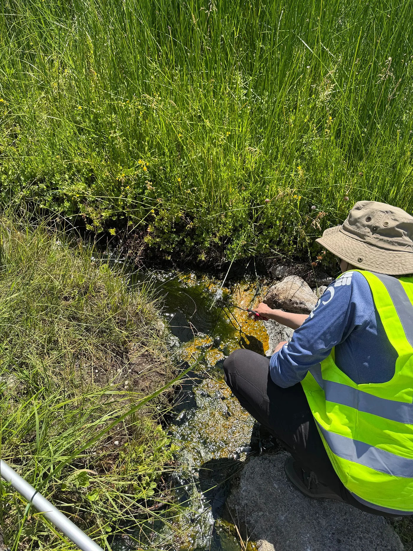 Researcher sampling geothermal water where the fire amoeba was discovered in Lassen Volcanic National Park.