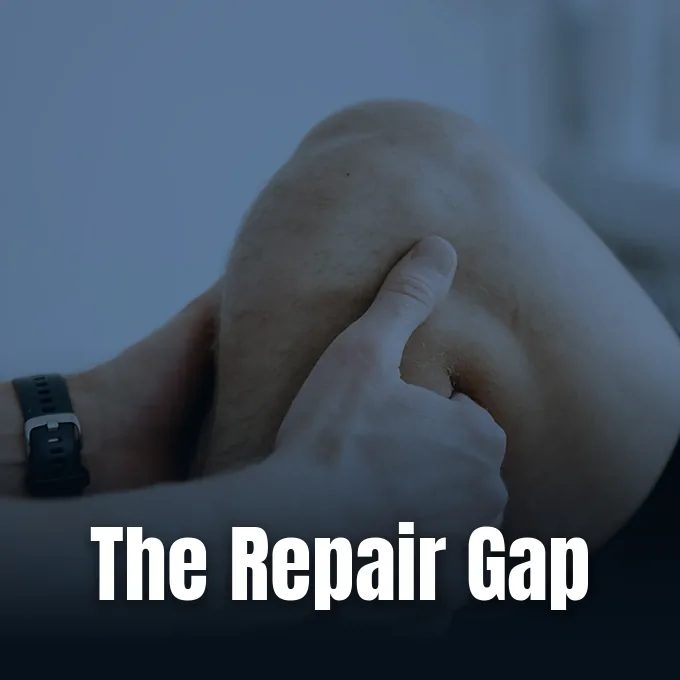 How broken bones heal compared with the limited repair of damaged joint cartilage.