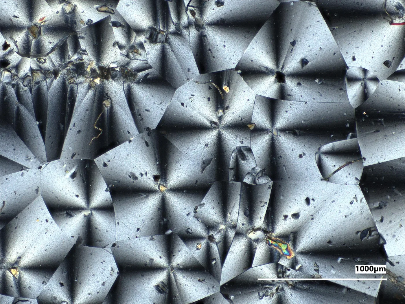 Microscopic sample comparison of moon manufacturing material tested at NASA Glenn