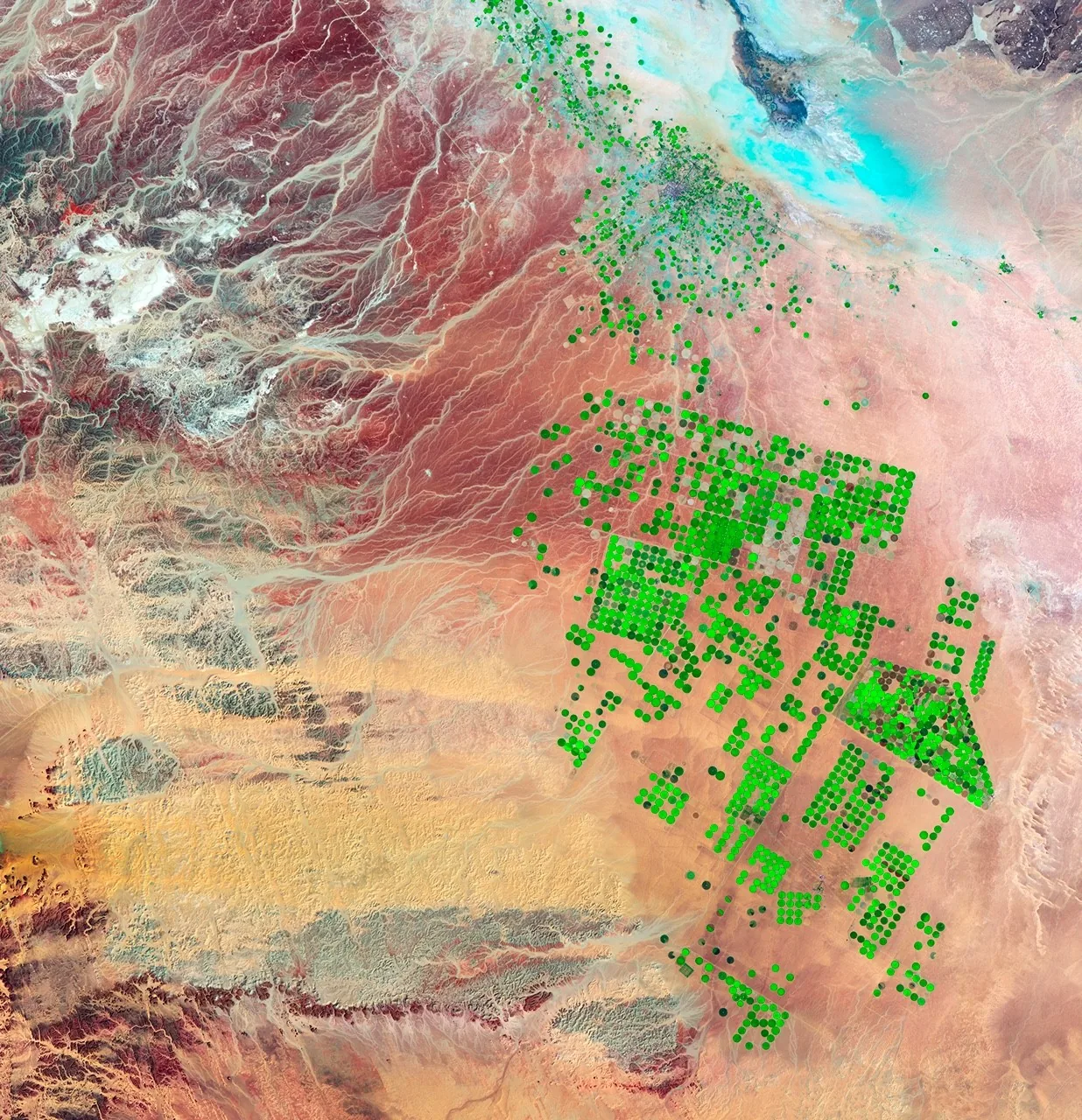 Graphic from NASA Science illustrating machine learning foundation models applied to scientific data.