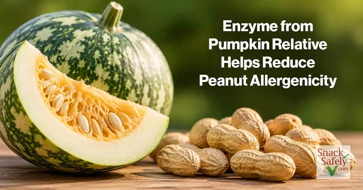 Peanut allergens undergoing conceptual enzymatic processing in food allergy research.