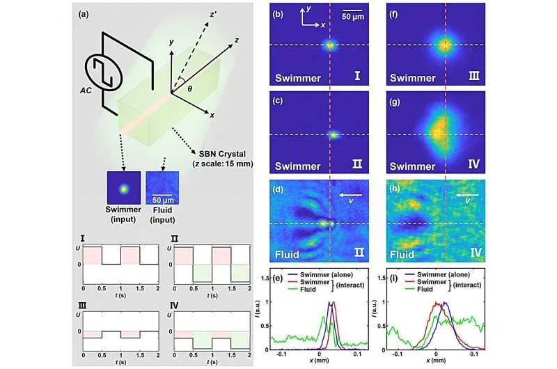 Laboratory measurements recording quantum fluid of light upstream and downstream motion.