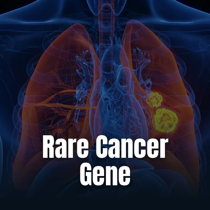 Scientific rendering of lung cellular tissue featured in Live Science reporting on inherited cancer risk.