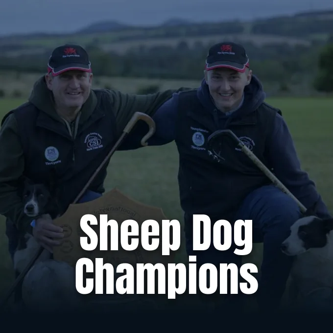 David Howells and Jack Howells celebrate their Sheep Dog World Trial championship victory with border collies Pip and Boss.