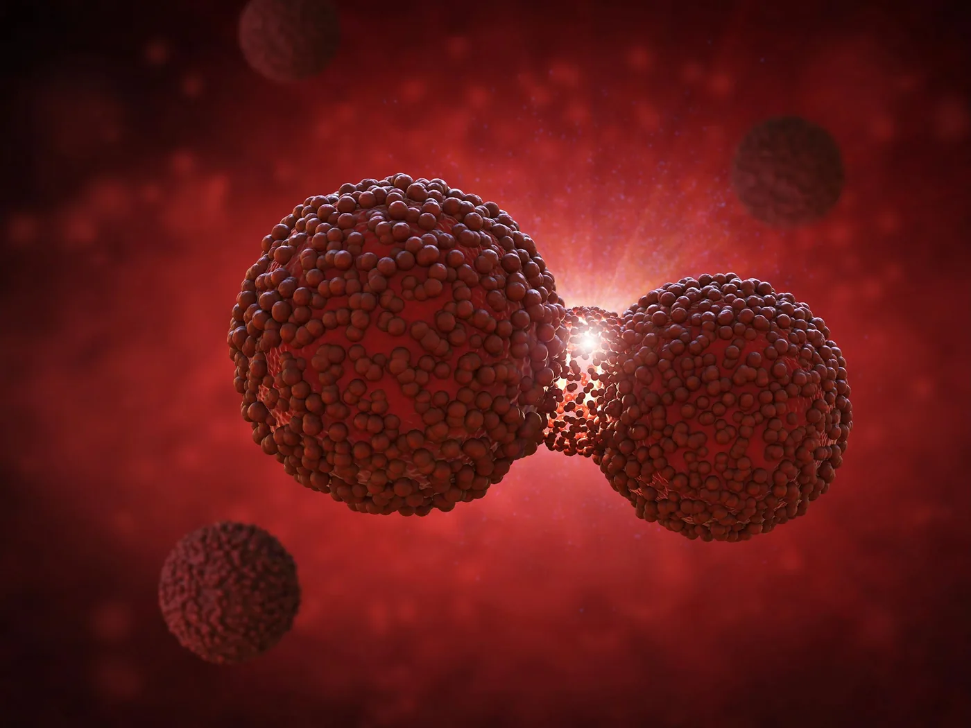 Dividing cancer cells building protective barriers against spatiotemporal drug delivery interventions.