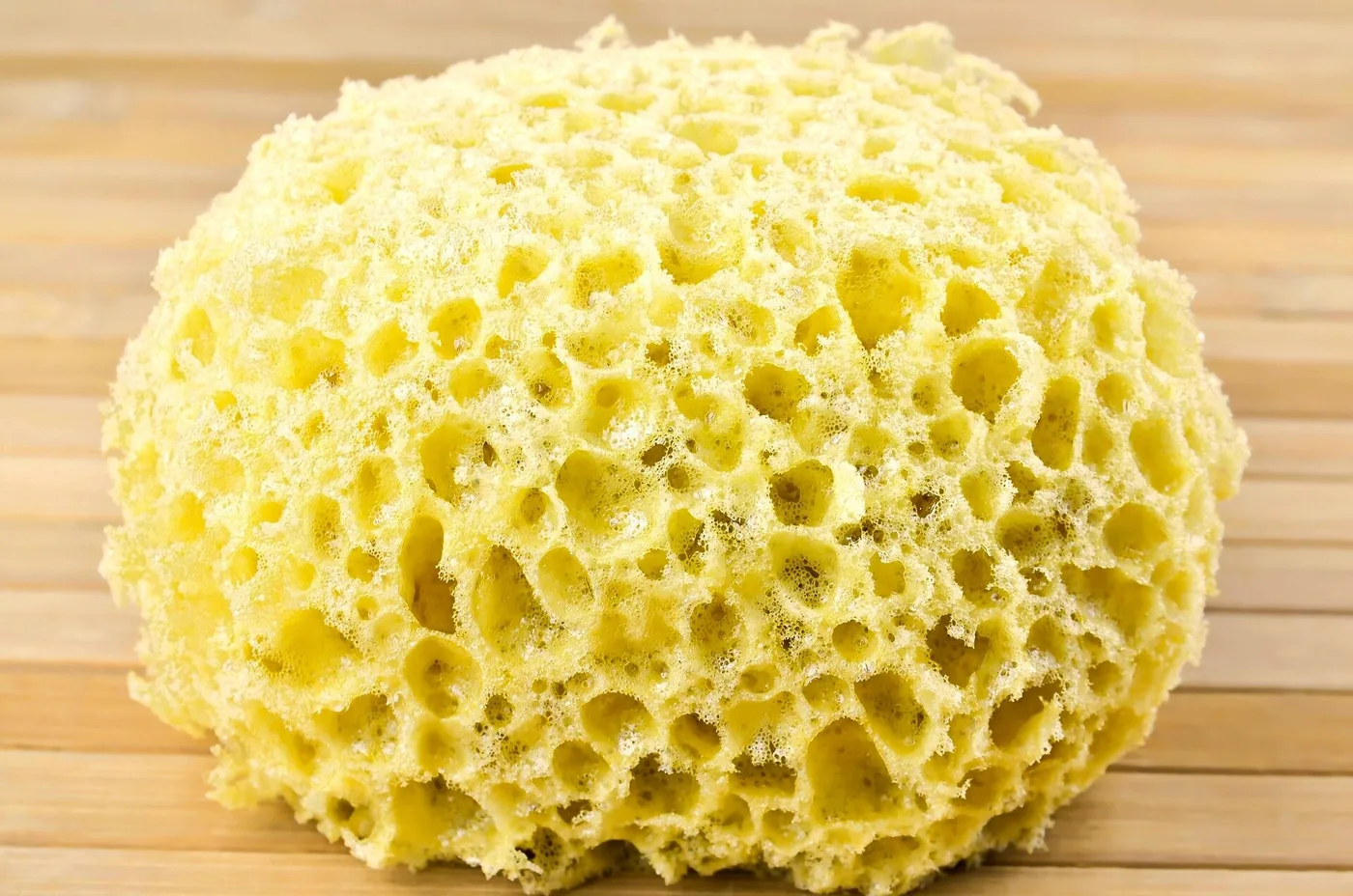 An everyday household object where sponges have holes distributed in irregular open-cell arrangements.