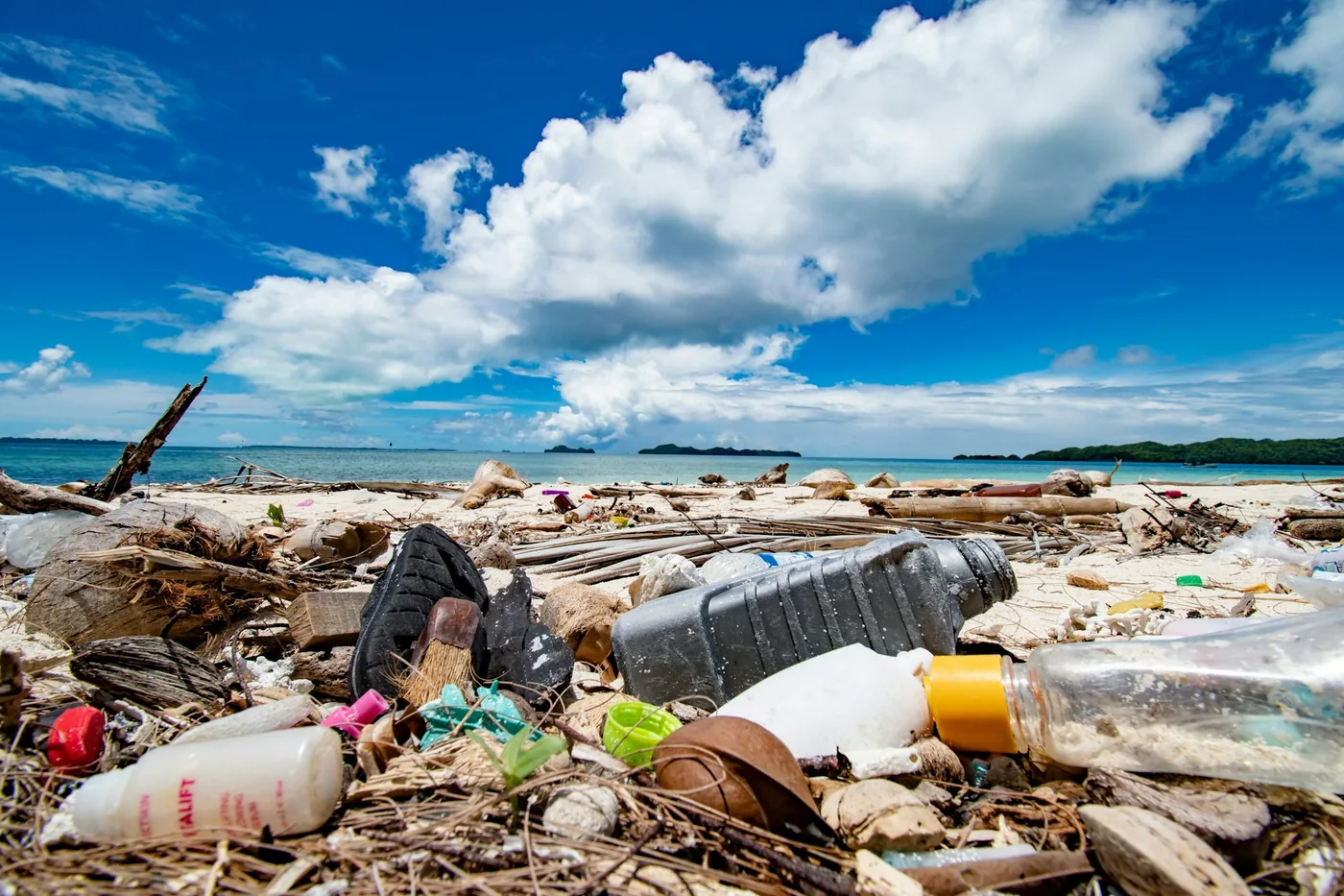 Coastal shoreline in the Seychelles where discarded fishing gear and plastic wash ashore.