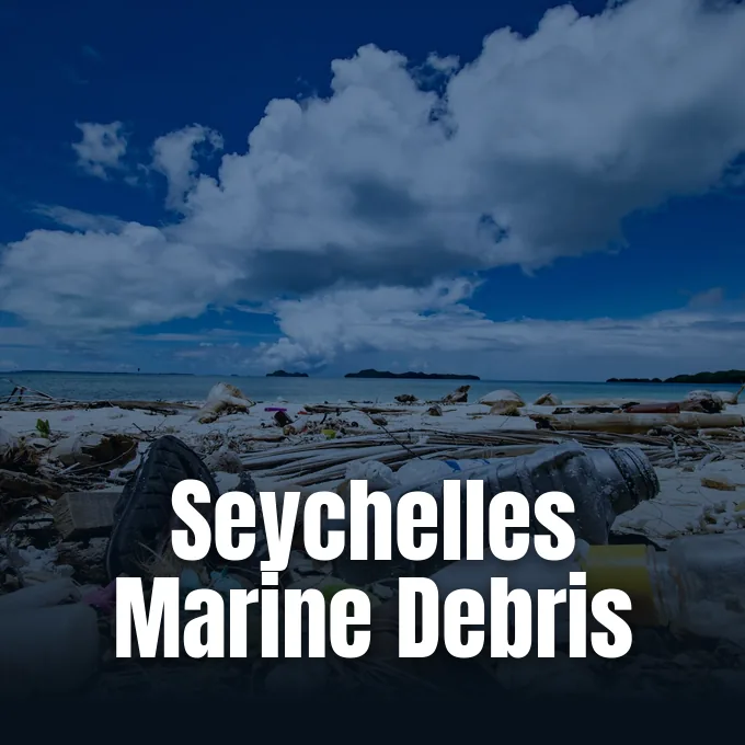 Marine debris and plastic waste accumulated along an island beach in the Seychelles.
