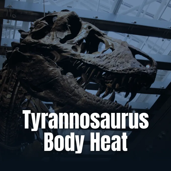 A fossil specimen of Tyrannosaurus rex from the Dinosaur Institute at the Natural History Museum of Los Angeles County.