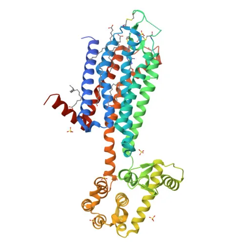 Crystal structure of human A2A adenosine receptors complexed with ZM241385