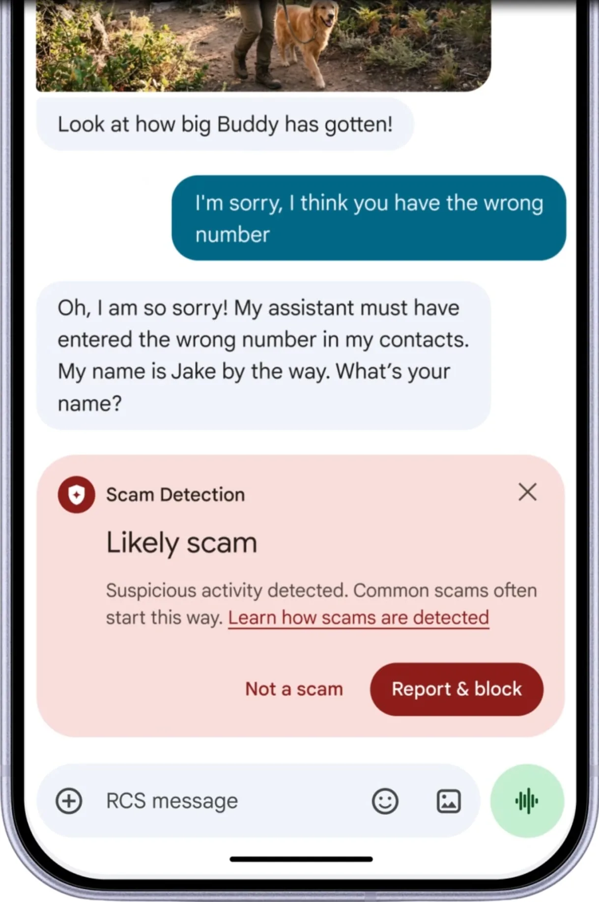 Text scam alert screen in Google Messages highlighting automated warning notices.