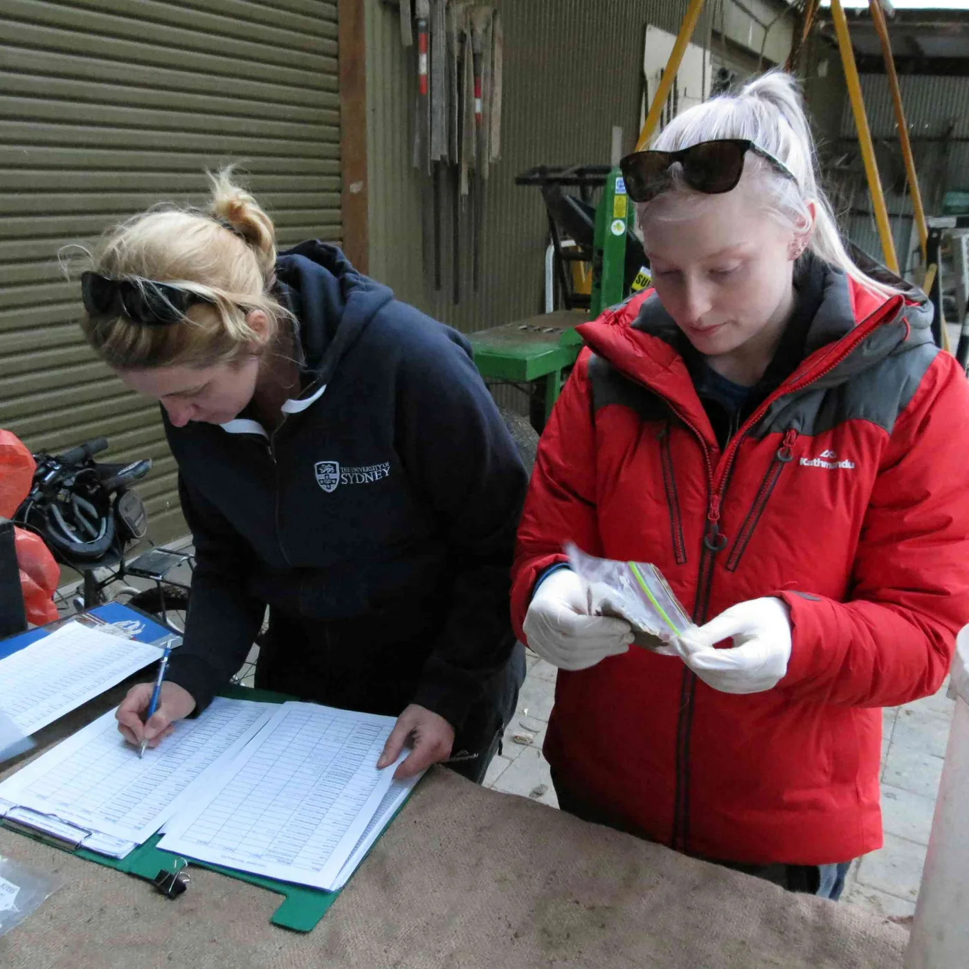 Researchers Elspeth McLennan and Carolyn Hogg recording observational data in the field