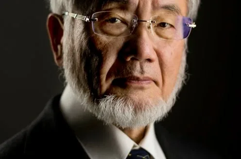 Portrait of Nobel laureate Yoshinori Ohsumi.