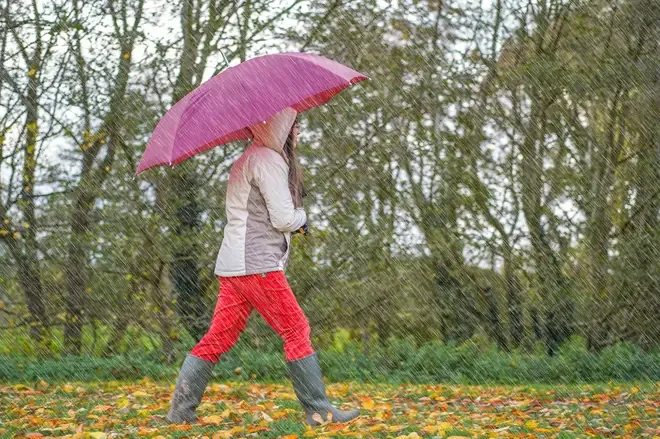 A pedestrian holding an umbrella walks through fallen leaves during heavy autumn rainfall in England.