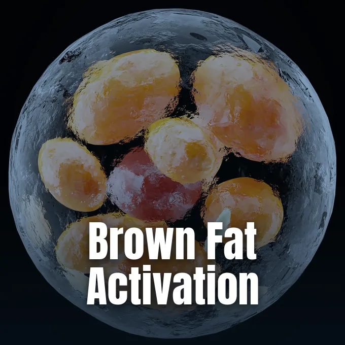A microscopic illustration of a spherical cell containing multiple golden lipid droplets on dark background.