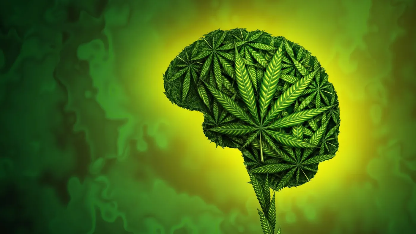 Scientific analysis of cannabis and violence examining psychiatric patient outcomes and neurological pathways.