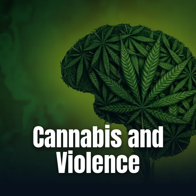 Cannabis and violence research evaluating behavioral risk across clinical and community studies.