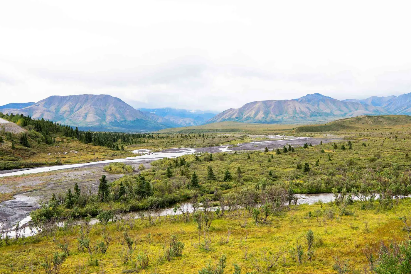 High-latitude arctic landscape in Denali National Park representing boreal permafrost thaw zones