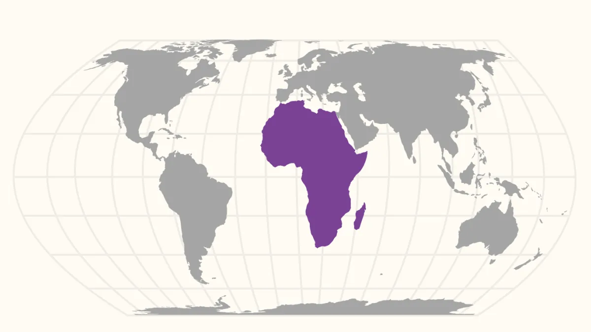 Cartographic diagrams illustrating geometric compromises when flattening a spherical Earth.