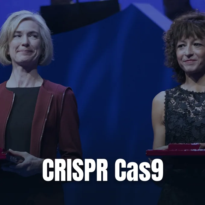 Jennifer Doudna and Emmanuelle Charpentier stand on stage at a science award ceremony