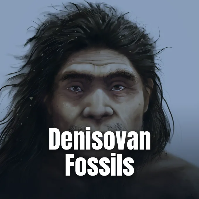 Artistic digital reconstruction portrait showing the facial features and head of an ancient Denisovan human.