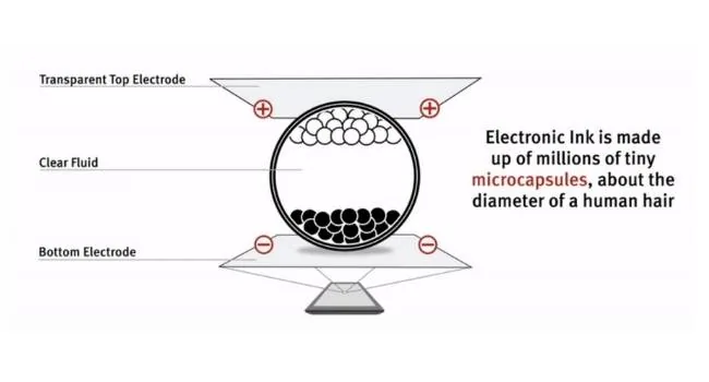 Microcapsule structure showing black and white pigments moving under an electric charge