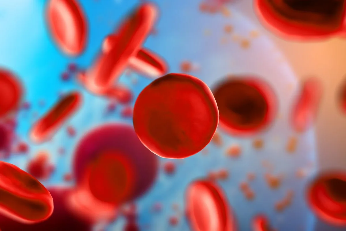 Illustration of red blood cells circulating in blood carrying glucose molecules.