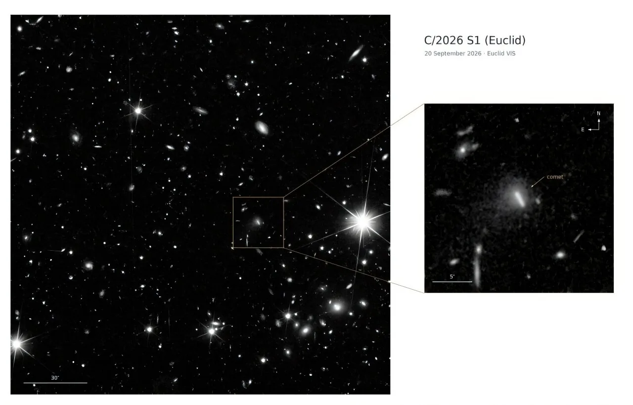 Euclid space telescope observations tracking the Euclid comet moving across background stars.