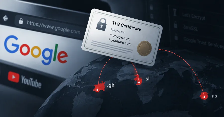 Illustration of secure HTTPS and TLS certificates for Google domains.