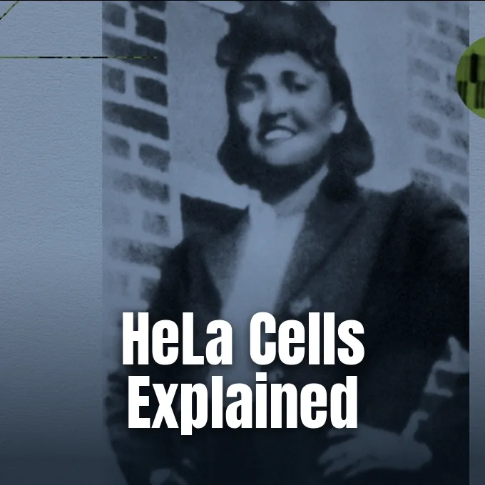 A vintage portrait photograph showing Henrietta Lacks smiling against a building wall.
