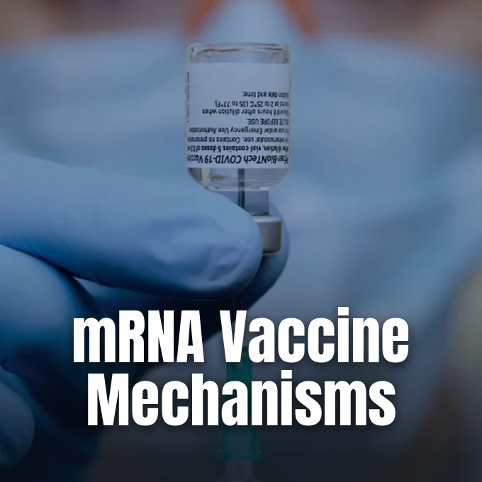 A gloved hand holds a glass vaccine vial upright over a syringe in a clinical setting.