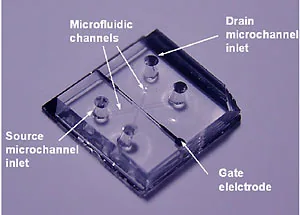 Nanofluidic transistor channel between silicon dioxide plates