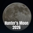 A detailed view of the glowing full moon illuminated against the dark night sky.