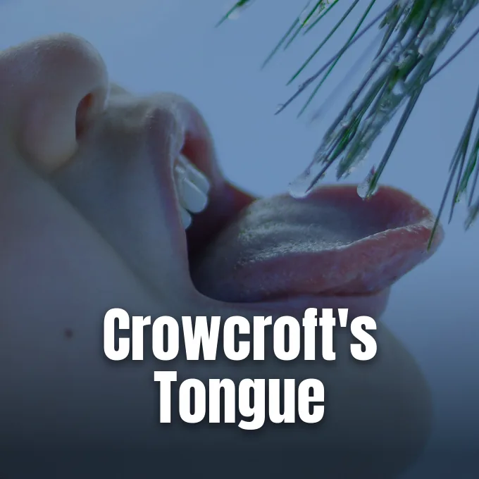 A close-up of an open mouth with a tongue extended toward pine needles with water droplets.