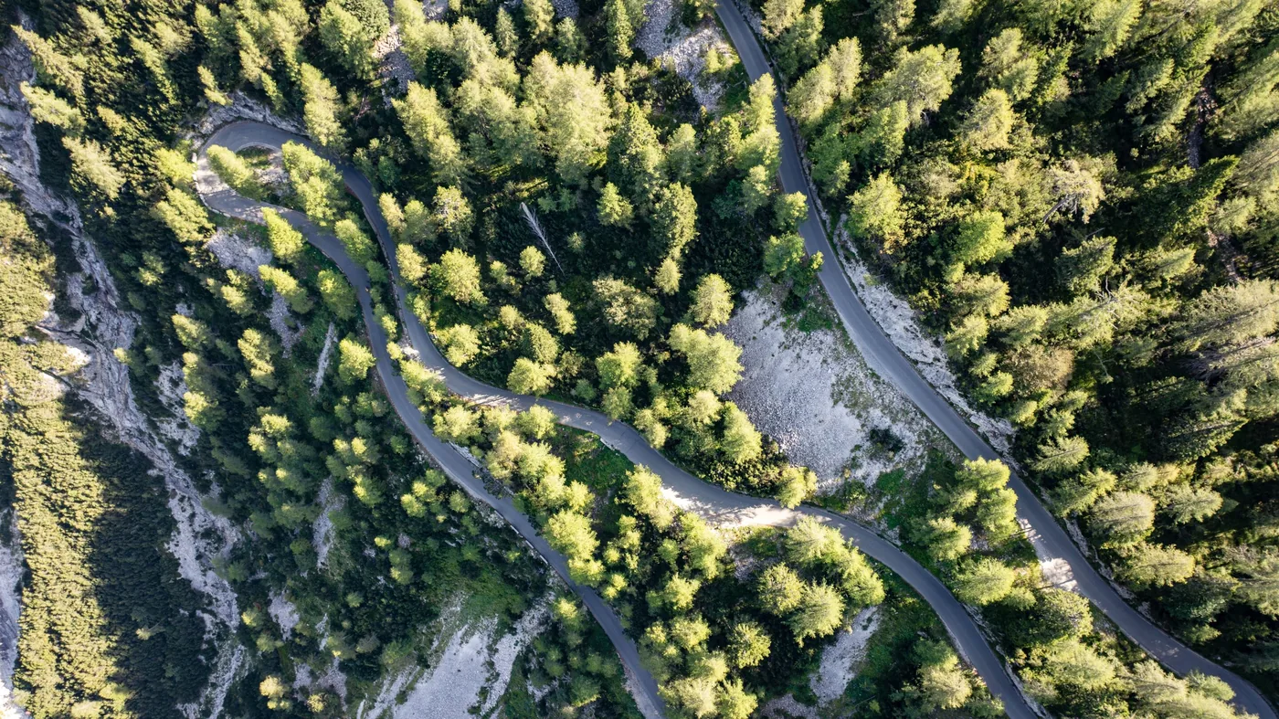 Dense forest vegetation mapped by remote sensing instruments.