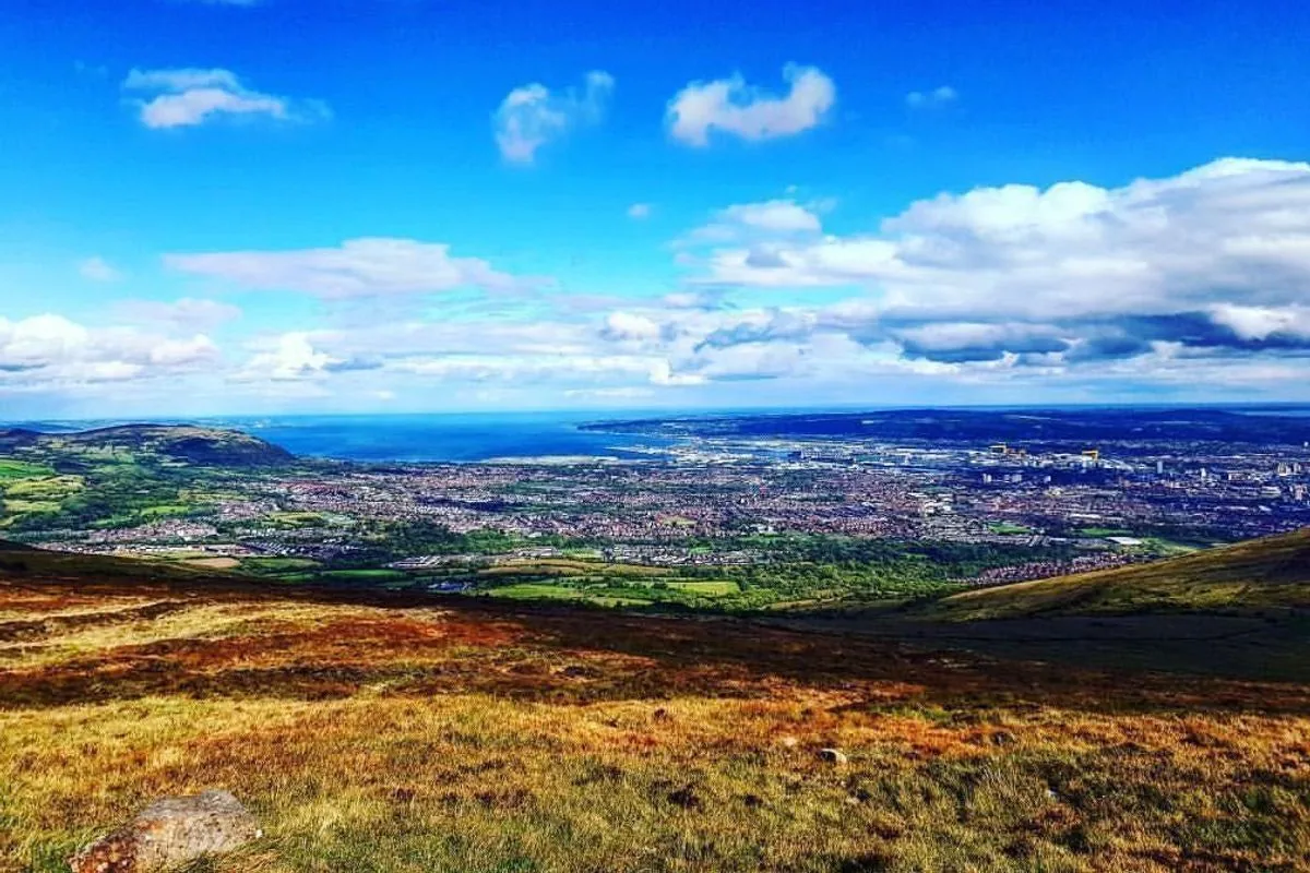 Peatland habitat on Black Mountain where conservation groups work to hold back water.