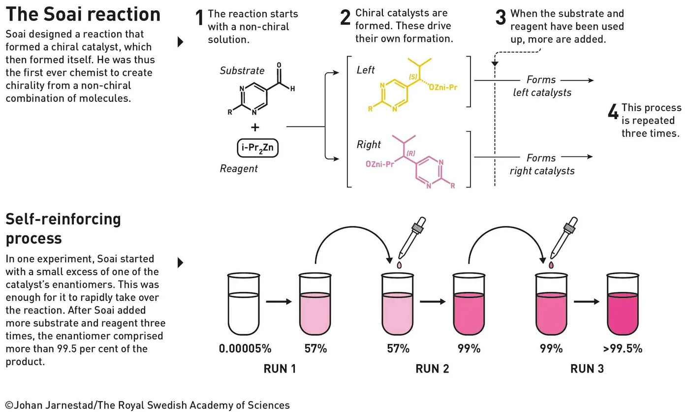 Diagram illustrating the autocatalytic amplification of mirror-image molecules in the Soai reaction.