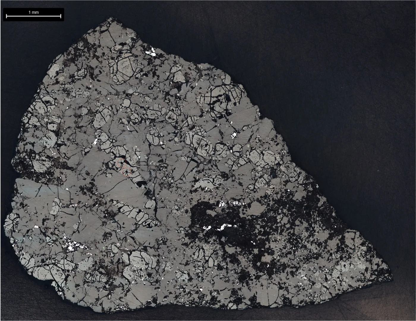 Cross-section slice of the oldest Martian meteorite Teghaza 001 analyzed under a microscope.
