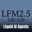 A graphic card displaying the official model name LFM2.5 24B-A2B on a dark background.